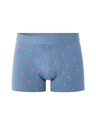 Celio Boxerky Niboflamin