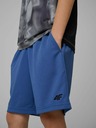 4F Chlapecké kraťasy 4F FNK