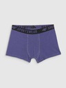 4F Chlapecké boxerky 4F (3pack)
