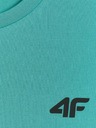 4F Pánské tričko 4F FNK
