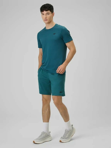 4F Pánské tričko 4F FNK