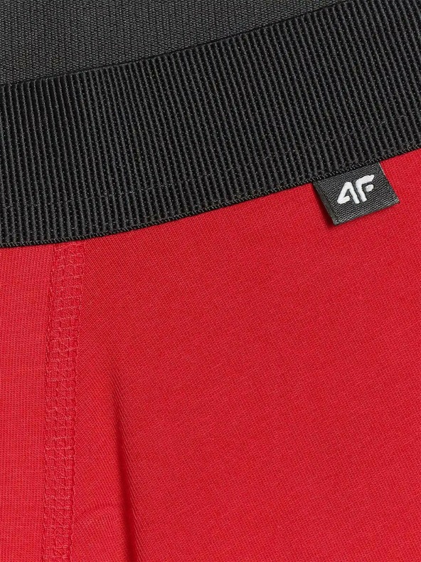 4F Pánské boxerky 4F (2pack)