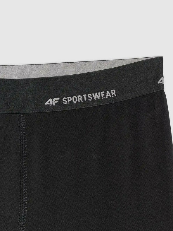 4F Pánské boxerky 4F Falcon (2pack)
