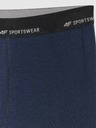 4F Pánské boxerky 4F Falcon (2pack)