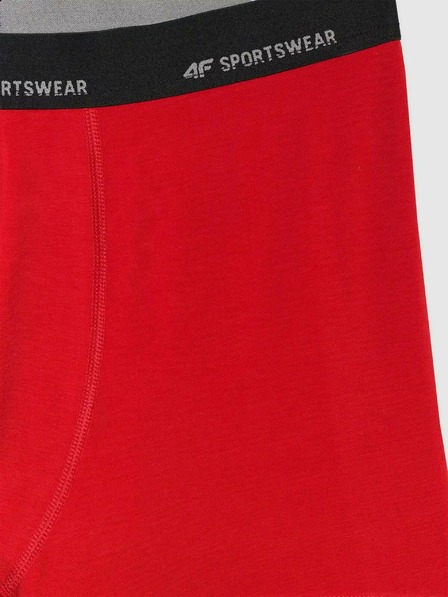 4F Pánské boxerky 4F Falcon (2pack)