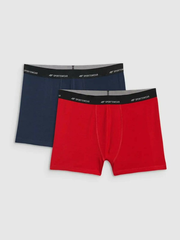 4F Pánské boxerky 4F Falcon (2pack)