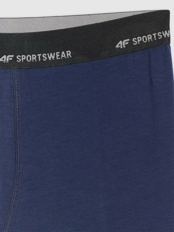 4F Pánské boxerky 4F Falcon (2pack)