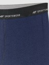 4F Pánské boxerky 4F Falcon (2pack)