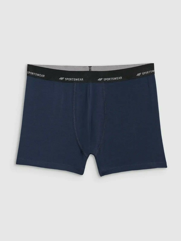 4F Pánské boxerky 4F Falcon (2pack)