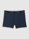 4F Pánské boxerky 4F Falcon (2pack)