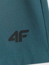 4F Pánské kraťasy 4F Batan