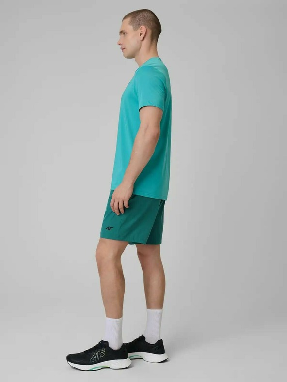 4F Pánské kraťasy 4F Batan