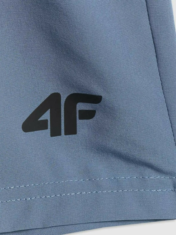 4F Pánské kraťasy 4F Batan