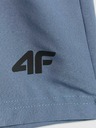 4F Pánské kraťasy 4F Batan