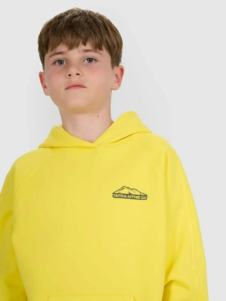 4F Chlapecká mikina 4F