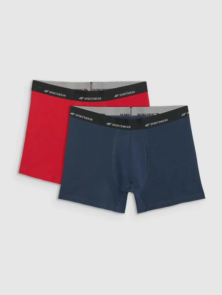 4F Pánské boxerky 4F Falcon (2pack)