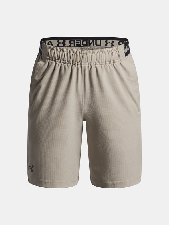 Under Armour Chlapecké kraťasy Under Armour UA Vanish Shorts-BRN
