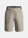 Under Armour Chlapecké kraťasy Under Armour UA Vanish Shorts-BRN
