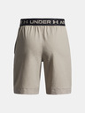 Under Armour Chlapecké kraťasy Under Armour UA Vanish Shorts-BRN