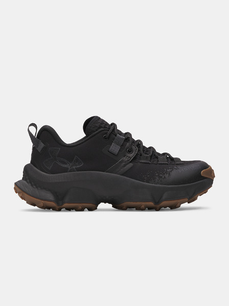 Under Armour Dámské boty Under Armour UA W Charged Expanse Low WP
