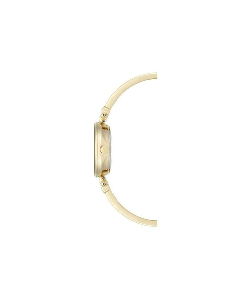 Anne Klein Zlaté dámské hodinky Anne Klein