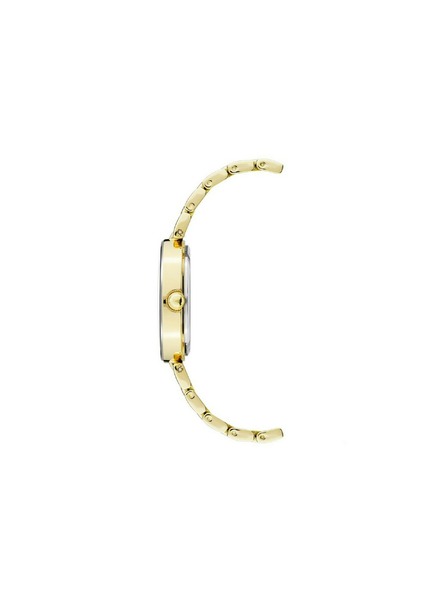 Anne Klein Zlaté dámské hodinky Anne Klein
