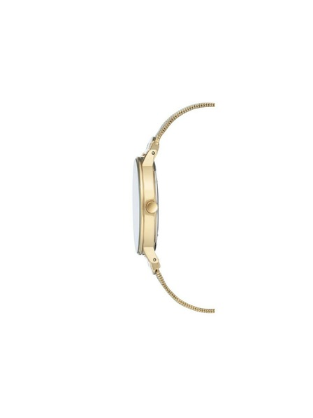 Anne Klein Zlaté dámské hodinky Anne Klein