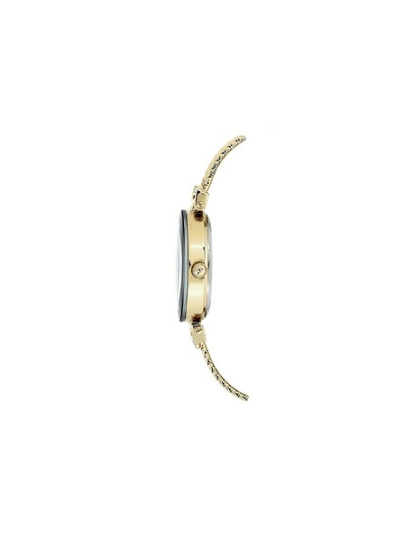 Anne Klein Zlaté dámské hodinky Anne Klein