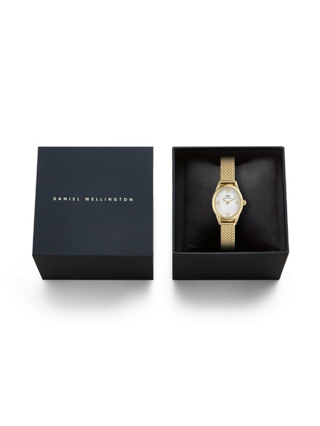 Daniel Wellington Dámské hodinky Daniel Wellington Ophelia Mini mesh oválné DW00100939