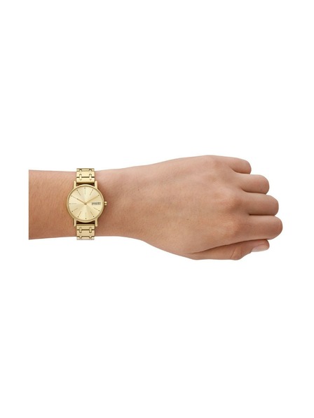 Skagen Dámské kulaté hodinky Skagen Signatur Lille SKW3124