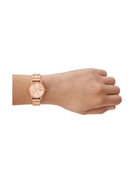 Skagen Dámské kulaté hodinky Skagen Signatur Lille SKW3125