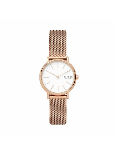 Skagen Dámské hodinky Skagen Signatur Lille Mesh SKW2694