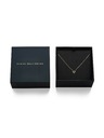 Daniel Wellington Daniel Wellington dámský náhrdelník ocelový Mirelle Heart DW00401630