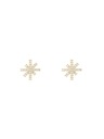Daniel Wellington Dámské ocelové náušnice Daniel Wellington Mirelle Star DW00401611