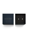 Daniel Wellington Dámské ocelové náušnice Daniel Wellington Mirelle Star DW00401611
