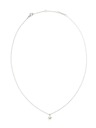 Daniel Wellington Dámský ocelový náhrdelník Daniel Wellington DW00401957