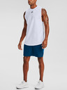 Under Armour Pánské kraťasy Under Armour Woven Graphic Shorts