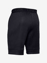 Under Armour Pánské kraťasy Under Armour Move Shorts
