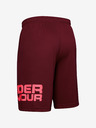 Under Armour Pánské kraťasy Under Armour Tech Wordmark Shorts