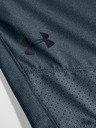 Under Armour Pánské kraťasy Under Armour Vanish Woven Shorts