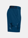 Under Armour Pánské kraťasy Under Armour Vanish Woven Graphic Sts