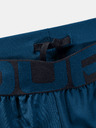 Under Armour Pánské kraťasy Under Armour Vanish Woven Graphic Sts