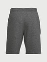 Under Armour Pánské kraťasy Under Armour Rival Fleece Short