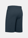 Under Armour Pánské kraťasy Under Armour COTTON BIG LOGO SHORTS