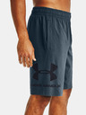 Under Armour Pánské kraťasy Under Armour COTTON BIG LOGO SHORTS