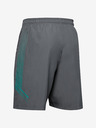 Under Armour Pánské kraťasy Under Armour Woven Graphic Shorts