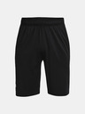 Under Armour Pánské kraťasy Under Armour UA Raid 2.0 Shorts
