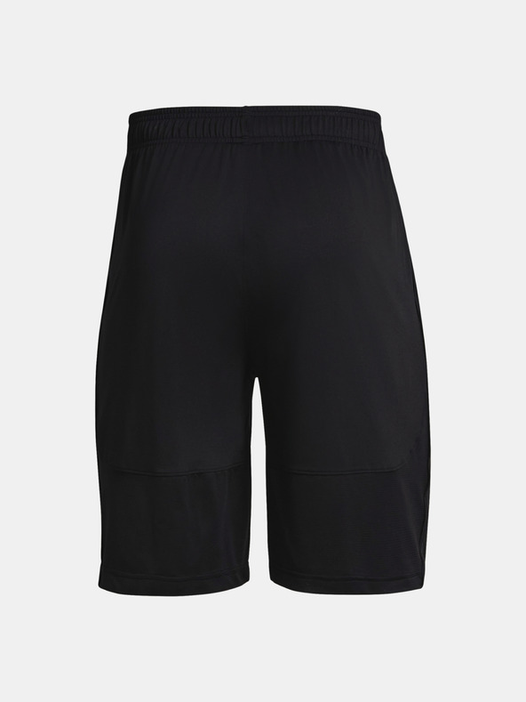 Under Armour Pánské kraťasy Under Armour UA Raid 2.0 Shorts