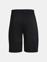 Under Armour Pánské kraťasy Under Armour UA Raid 2.0 Shorts