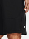 Under Armour Pánské kraťasy Under Armour UA Raid 2.0 Shorts